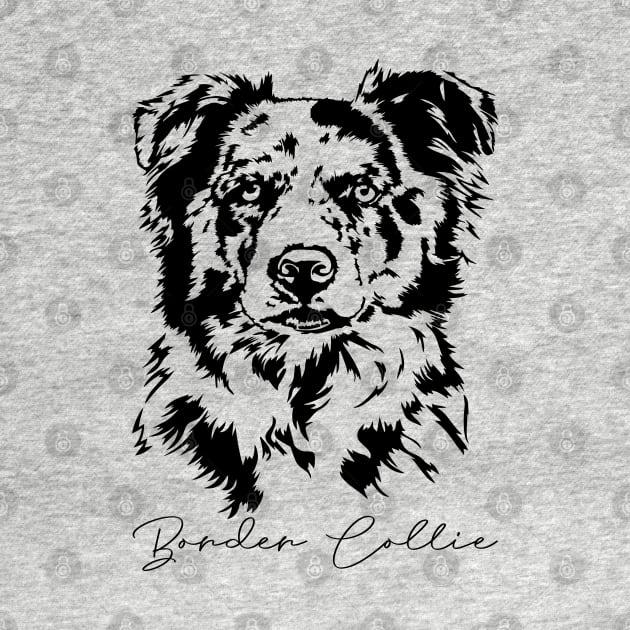 Merle Border Collie dog Portrait by wilsigns